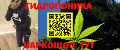 ALPHA PVP Кандалакша