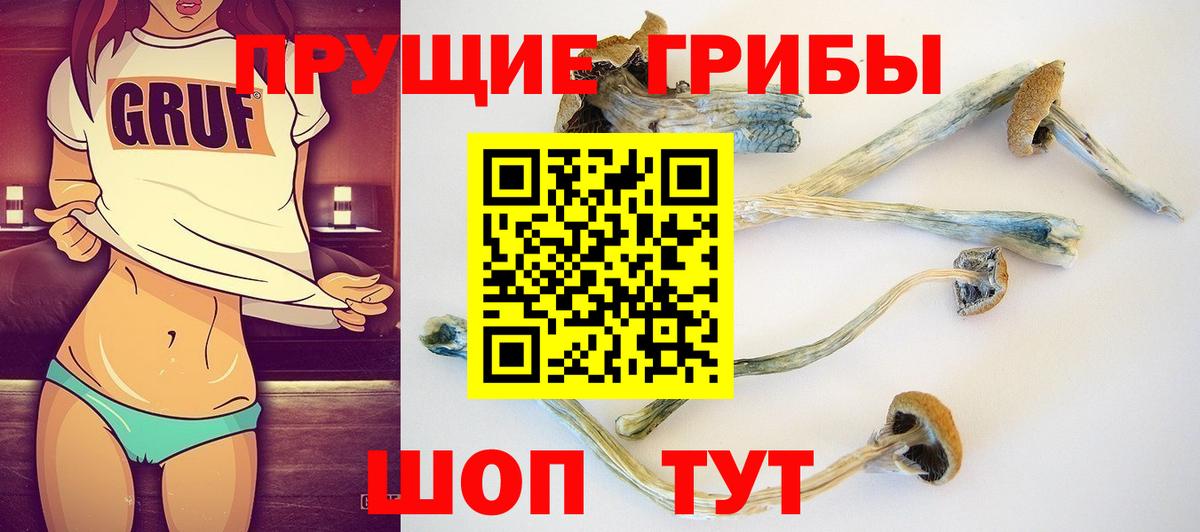 закладки  Вход с VPN  Кропоткин  Псилоцибиновые грибы ЛСД 