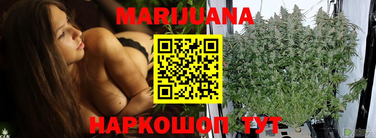 Бошки марихуана конопля  Вход с VPN  Марихуана план  Бошки Шишки конопля  Кропоткин 